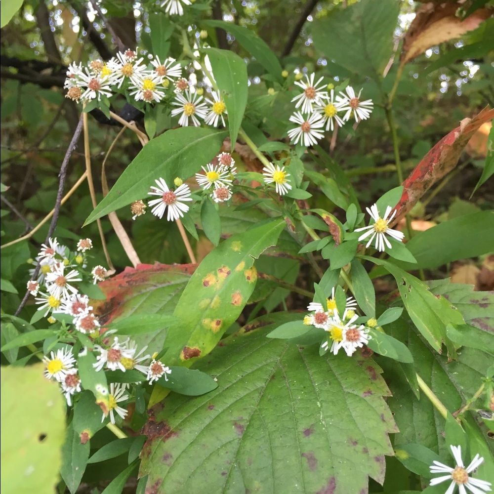 Meet your Posher, Kailey